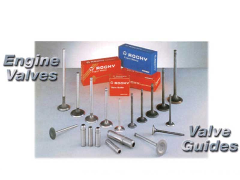 engine valves 